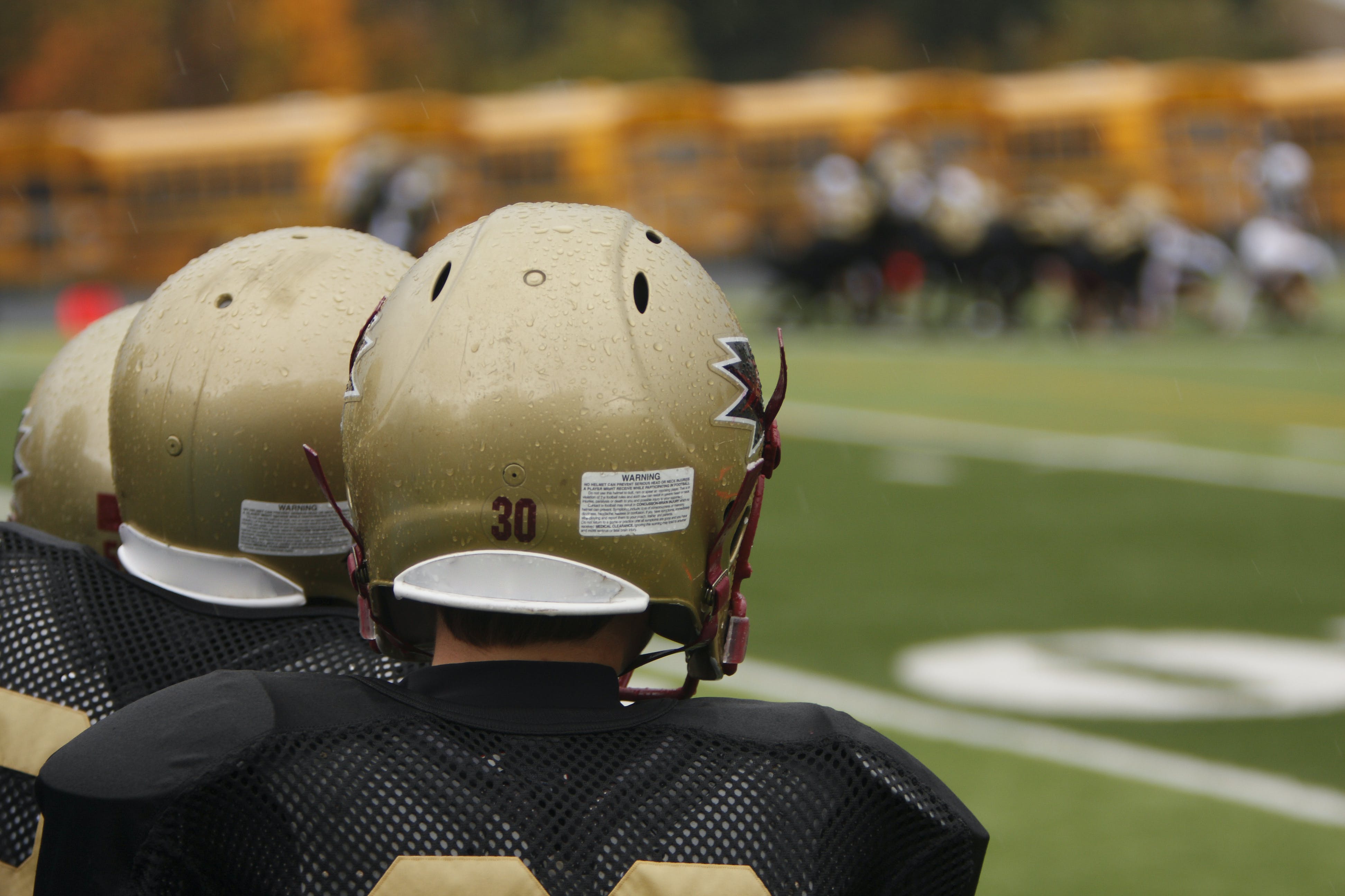 Can Dietary Supplements Really Prevent and Treat Concussions?