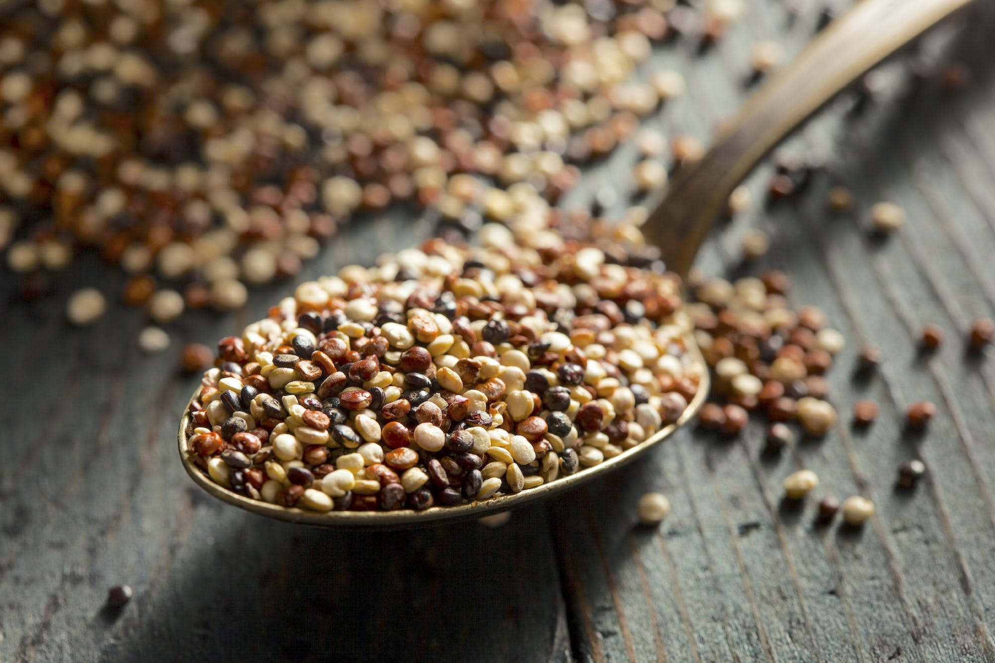 Vegan Protein: Why Fermented Grain-Like Seeds Are the Answer Vegan Protein: Why Fermented Grain-Like Seeds Are the Answer