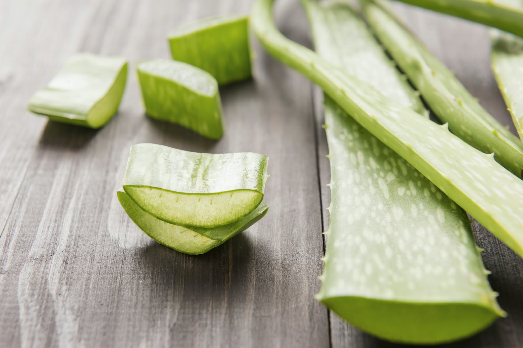 3 Reasons to Love Aloe Vera 3 Reasons to Love Aloe Vera
