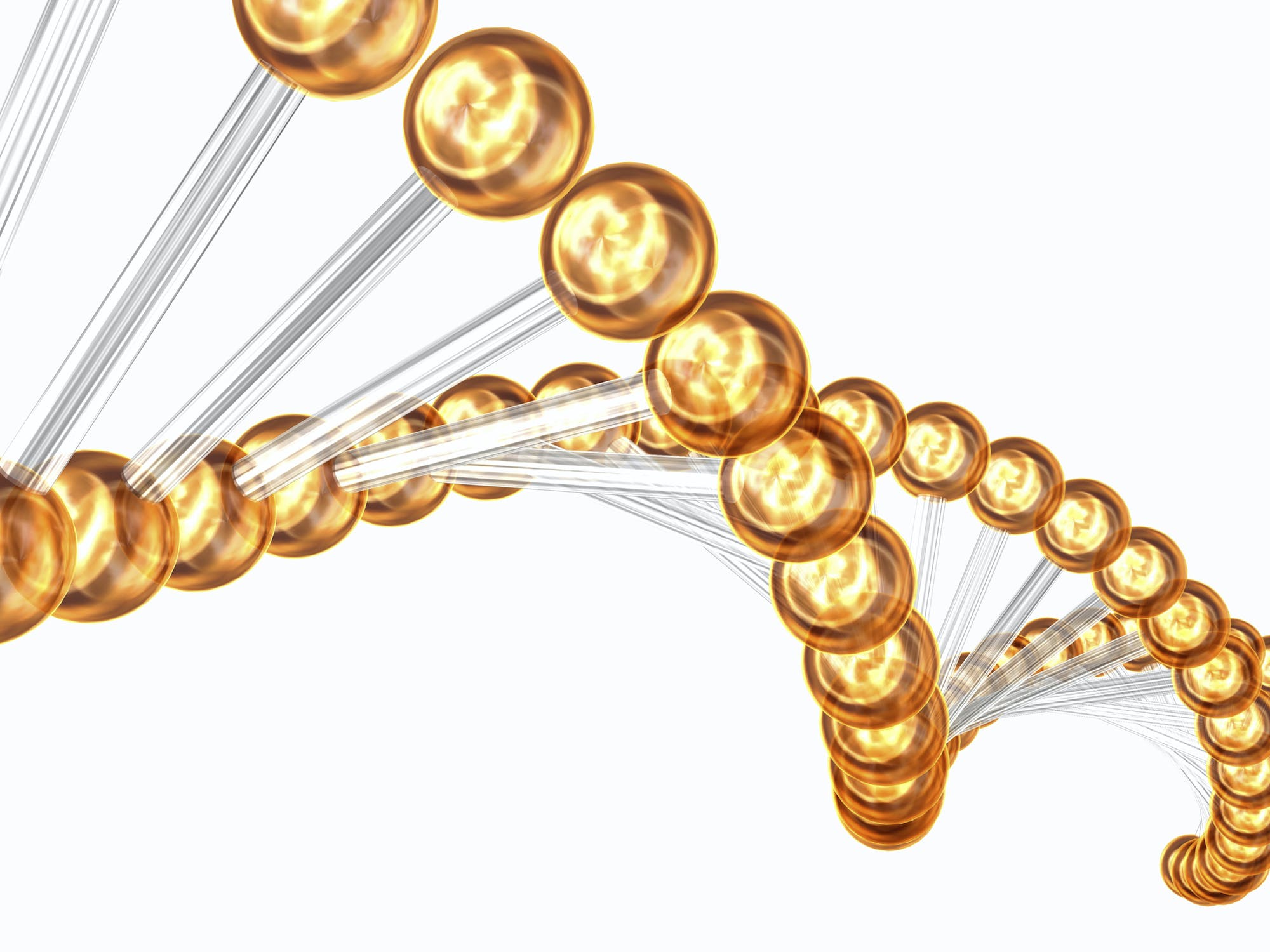 Are My Genes Making Me Fat and Sick? Are My Genes Making Me Fat and Sick?