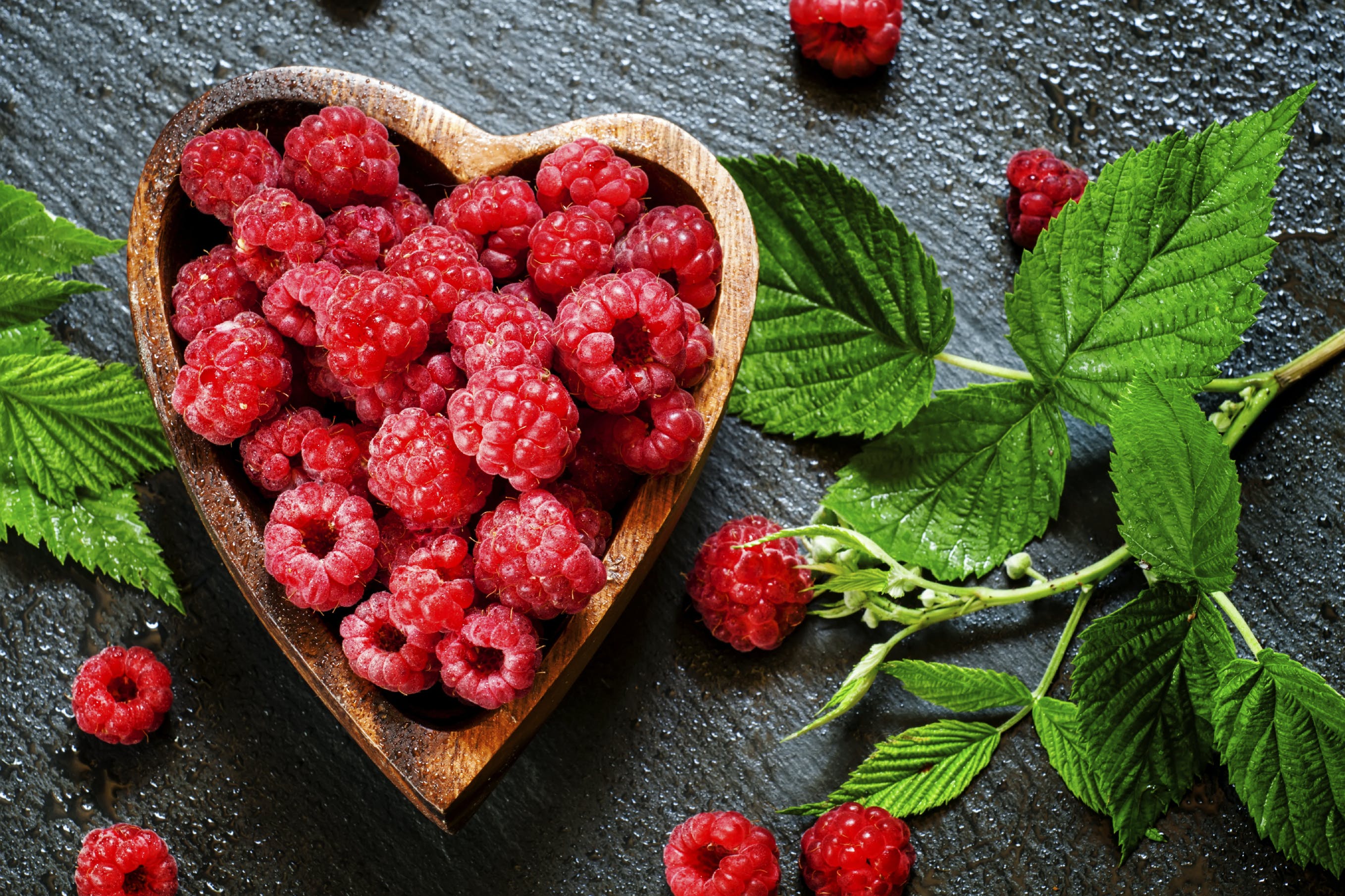 How to Fix Your Gut Bacteria and Lose Weight How to Fix Your Gut Bacteria and Lose Weight