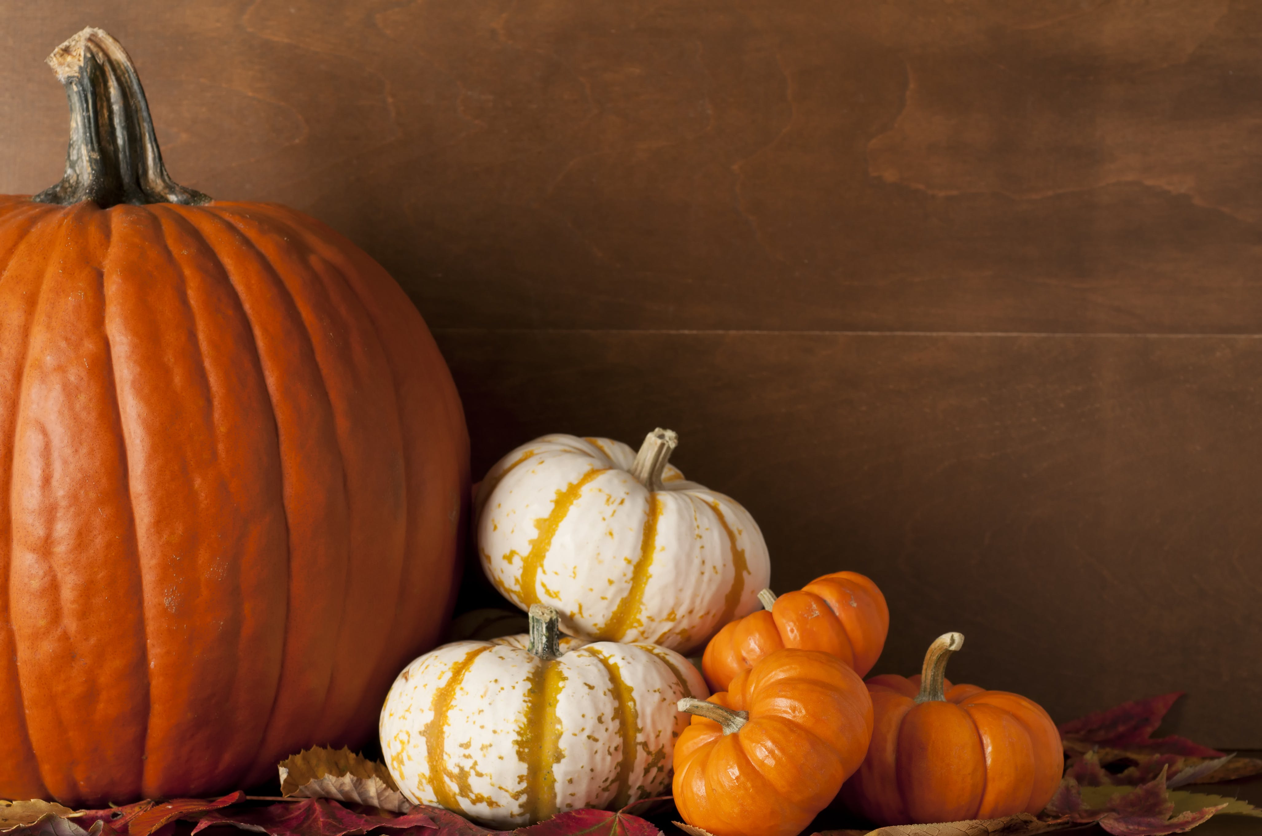 The Health Benefits of Pumpkins