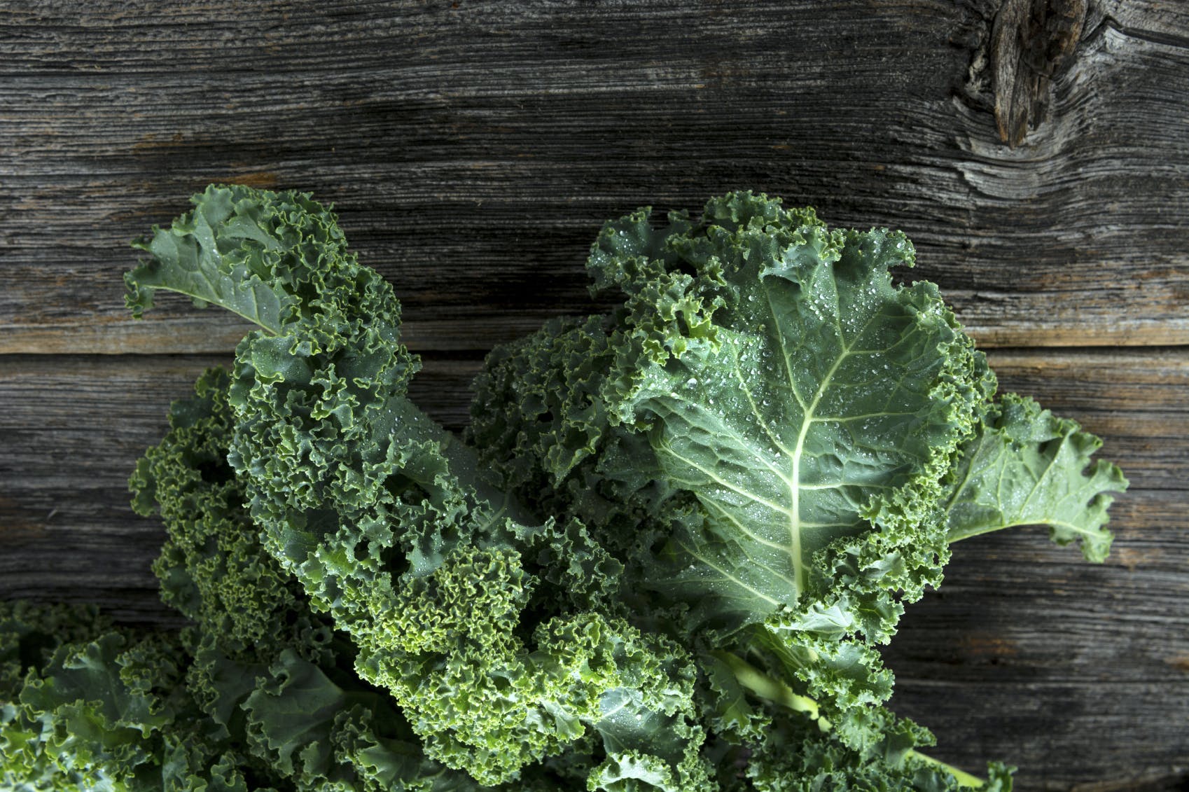 Everything You Need to Know about Kale